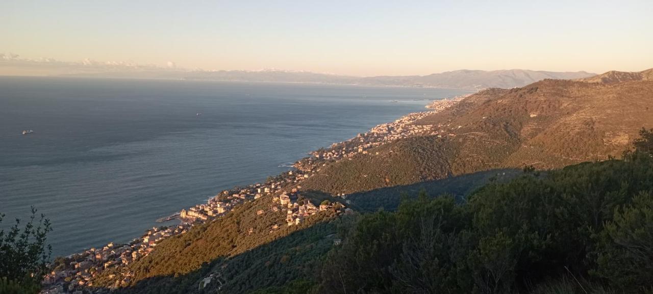In Scia Costa Lägenhet Bogliasco Exteriör bild